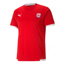 Maillot Teamliga Jersey Adulte