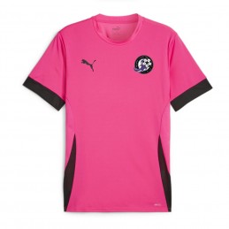 Maillot Teamgoal Fille