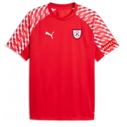 Maillot Teamliga