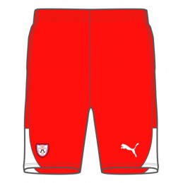 Short Teamliga