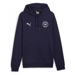 Sweat à capuche TeamGOAL