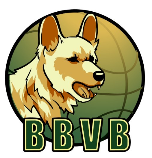 Basket Ball Villers Bretonneux 